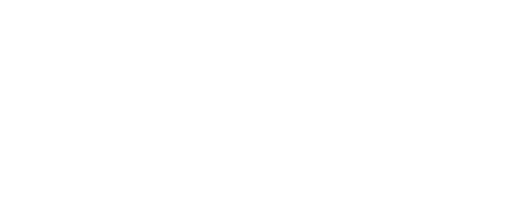 Pecher & Partners logo